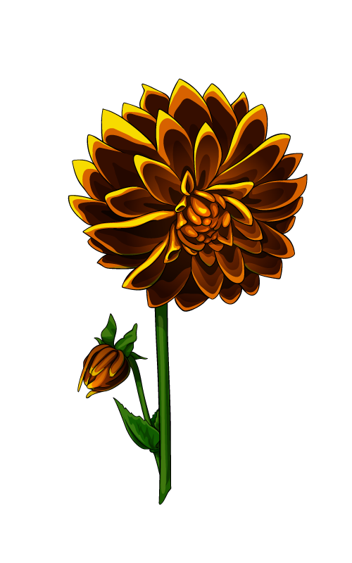 Pion flower