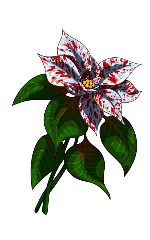 Star flower
